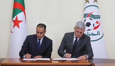 بقرار حاسم.. الجزائر ترفض تكرار سيناريو بلماضي مع بيتكوفيتش