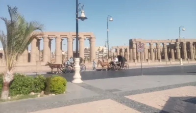 رغم توقعات الأرصاد بانكسار الموجة.. استمرار الأجواء شديدة الحرارة بالأقصر اليوم