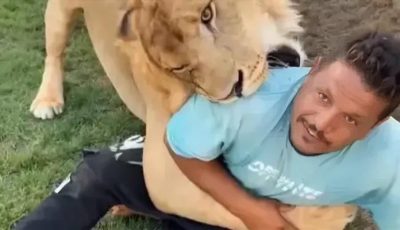 ليس له أسنان.. رد العامل المصري على واقعة الأسد في مزرعة ليبية
