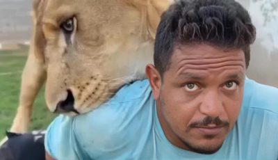 «اعطه قبلة».. صاحب مزرعة ليبي يهاجم عاملا مصريا بأسد