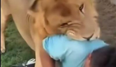 بعد القبض على صاحب واقعة مزاح الأسد.. أول تعليق لمقدم البلاغ للسفارة الليبية