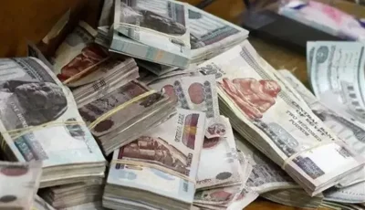 خبيرة طاقة: ترتيب الأموال في المحفظة يعزز طاقتها ويزيد من نموها