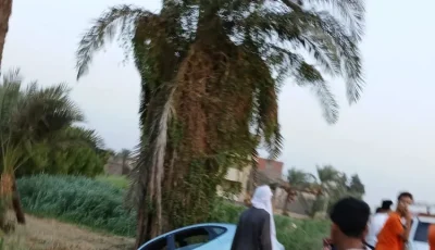 4 مصابين في انقلاب سيارة ملاكي على طريق الفيوم القاهرة الصحراوي