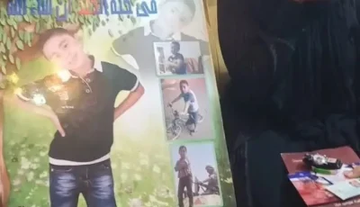 جنايات الإسماعيلية تنفذ حكم الإعلام في الشاب الذي أنهى حياة صغير فايد