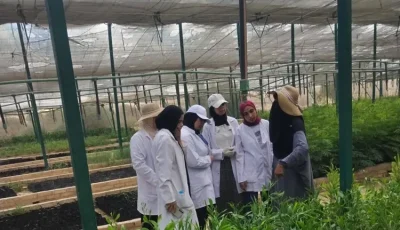 تعزيز مهارات طلاب كلية الزراعة بجامعة مطروح