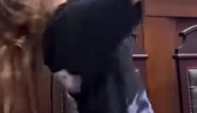 بطلة واقعة الرقص داخل قاعة إحدى المحاكم تحذف الفيديو من صفحتها بـ “تيك توك” (صور)