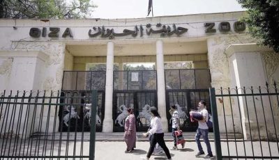 حديقة الحيوان 2025 بعد التطوير.. ماذا قال وزير الزراعة أسعار التذاكر؟